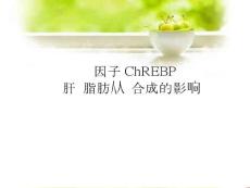 轉(zhuǎn)錄因子ChREBP對(duì)肝臟脂肪從頭合成的影響