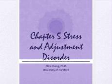 Chapter 5 Stress and Adjustment Disorder - Transtutors5章压力和适应障碍的transtutors