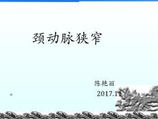 颈动脉狭窄ppt课件
