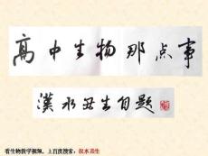 生長素的生理作用