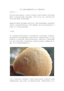 为什么猴头菇能够养胃 这三个重要原因