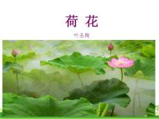 部编人教版小学三年级下册语文 3 荷花 课件 ppt