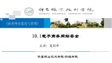 10.1電子商務網(wǎng)站安全