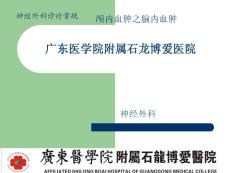 颅内血肿-脑内血肿ppt课件