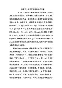 海南三七根茎芽基部的组培快繁