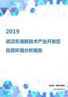 2019年武汉东湖新技术产业开发区投资环境报告.pdf