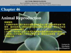 46_Lecture_Presentation_PC