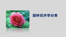 园林花卉分类