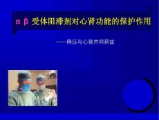 控制血压的心肾获益-阿尔马尔