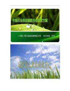中國農業供應鏈聯合會運營方案(修改版4-7)概況