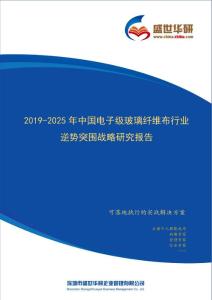 【完整版】2019-2025年中国电子级玻璃纤维布行业逆势突围战略研究报告