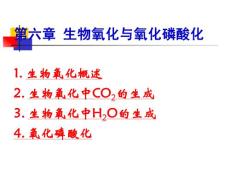 生物化學(xué)－7（生物氧化）2010-11