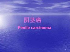 阴茎癌ppt参考课件