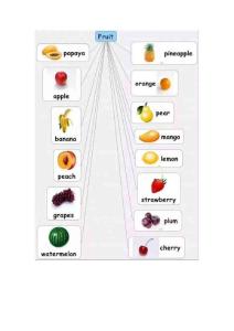 【英語】小學英語思維導圖大全