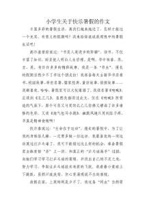 小学生关于快乐暑假的作文3