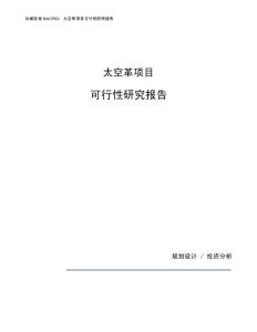 太空革项目可行性研究报告（总投资3000万元）（12亩）