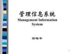 管理信息系统教程-管理信息系统概述ppt演示课件