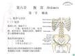 局部解剖学腹部医学精品ppt课件