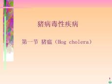 猪瘟病理剖检图片ppt课件