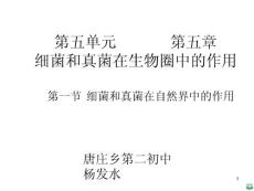 细菌和真菌在自然界中的作用ppt课件