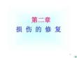 细胞修复ppt课件