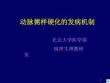 动脉硬化机制ppt课件