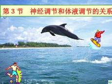 神经调节与体液调节的关系ppt课件