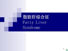 脂肪肝综合征ppt课件