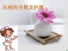 压疮新进展ppt课件