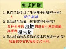 第一节  腔肠动物和扁形动物ppt课件
