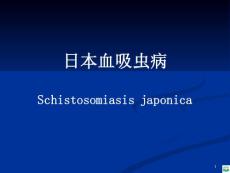 传染病学：日本血吸虫病ppt课件