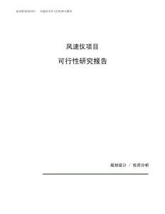 风速仪项目可行性研究报告（总投资13000万元）（57亩）