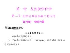 [原創(chuàng)]2011年《隨堂優(yōu)化訓(xùn)練》化學(xué) 新課標(biāo)人教版 必修一 第一章 從實驗學(xué)化學(xué) 第二節(jié) 第1課時 物質(zhì)的量 [配套課件]