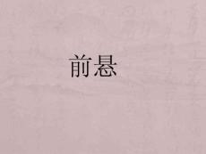 雪铁龙C5悬架