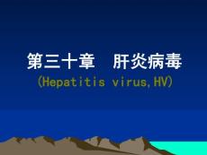 肝炎病毒（HV）
