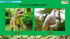 部編人教版小學(xué)四年級下冊語文《6 飛向藍天的恐龍》共2課時PPT課件64
