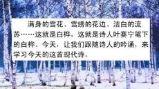 部編人教版小學(xué)四年級下冊語文《11 白樺》共2課時PPT課件51