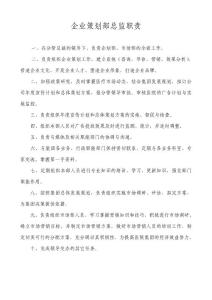 企业策划部总监职责
