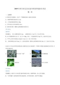 2019年四川省宜宾市中考物理试题（解析）