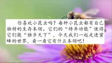 部编人教版小学三年级下册语文《14 蜜蜂》共2课时PPT课件50