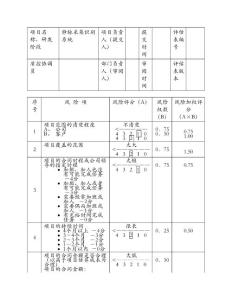 項目風(fēng)險評估表