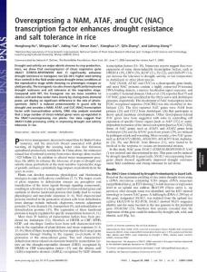 【SNAC1】 Overexpressing a NAM, ATAF, and CUC (NAC) transcription factor enhances drought resistance and salt tolerance in rice