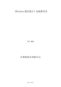 windows程序設計指導書
