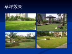 草坪景观效果及施工细节处理