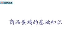 商品蛋雞的基礎知