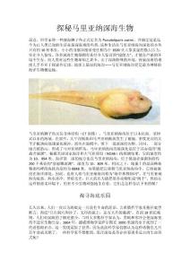探秘馬里亞納深海生物
