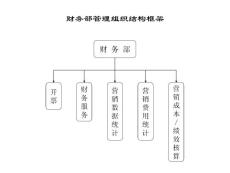 联纵智达-钱江啤酒财务部管理组织结构框架图