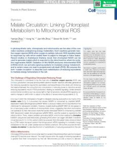 Malate Circulation_ Linking Chloroplast Metabolism to Mitochondrial ROS