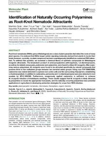 Identification of Naturally Occurring Polyamines as Root-Knot Nematode Attractants+sup