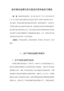 农业银行实习报告